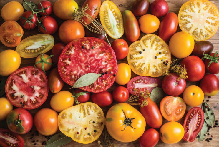 Plant Breeding for Gardeners